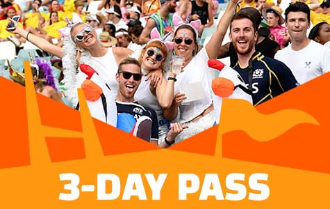 3-day pass